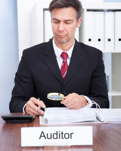 We can help with any audit reviews and appeals